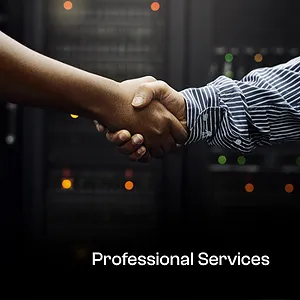 Professional Services
